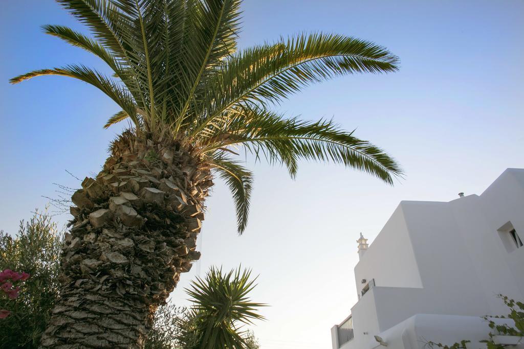 Anna-Maria Mykonos Hotel Glastros  ภายนอก รูปภาพ